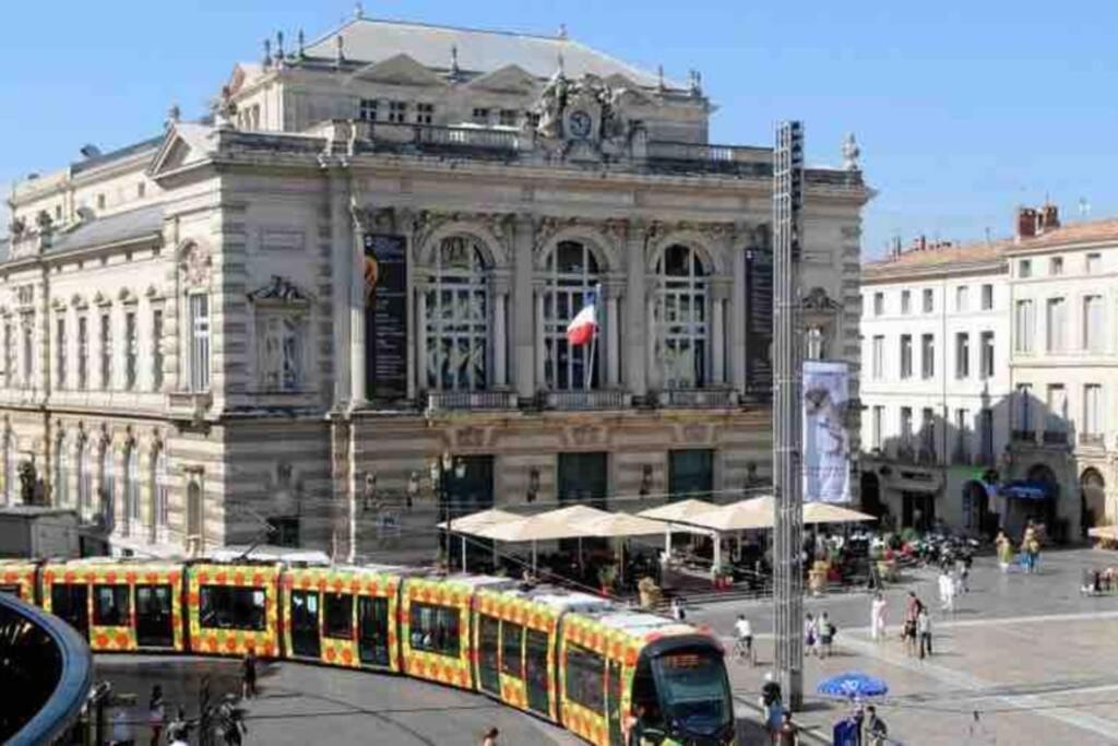 Superbe T2+Parking,Proche Centre Ville & Plages Apartment Montpellier Exterior foto